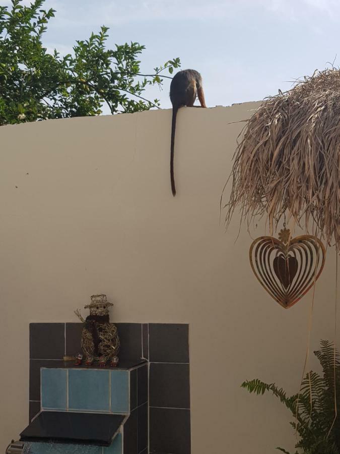 Mandinka Lodge Kololi Dış mekan fotoğraf